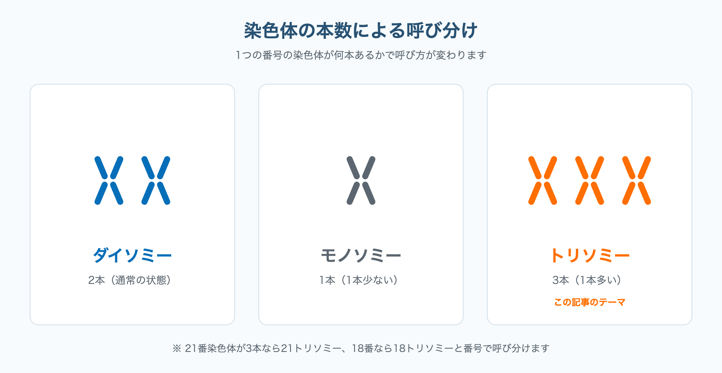 染色体が2本のダイソミー、1本のモノソミー、3本のトリソミーを並べて比較した図