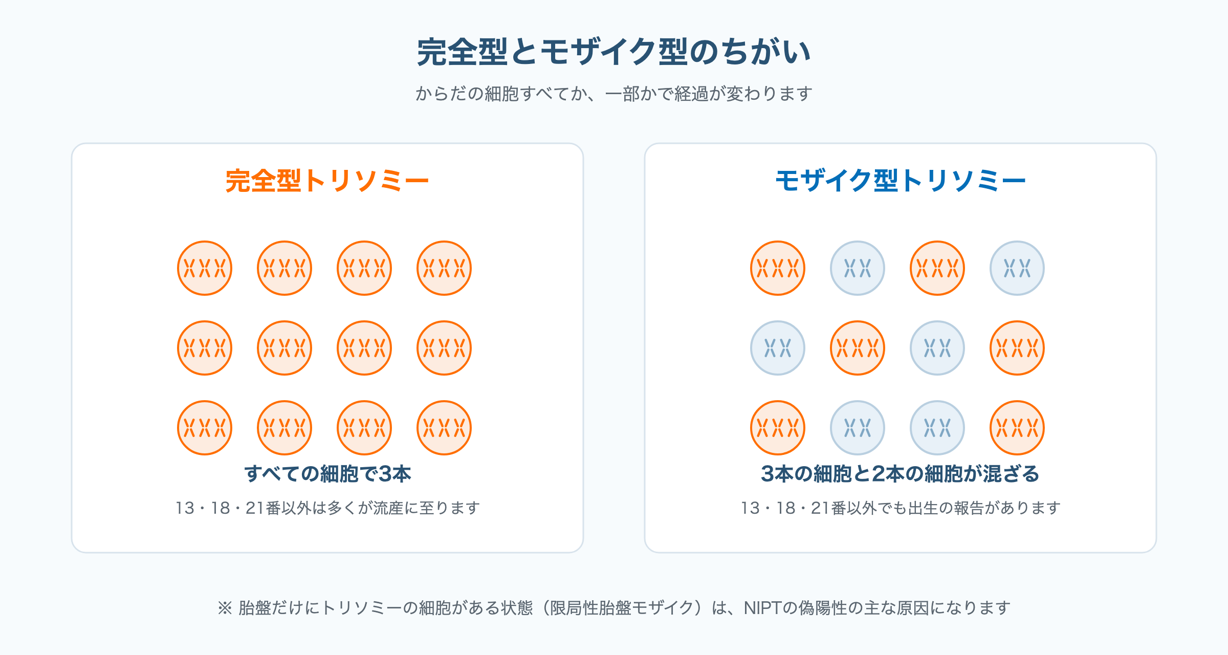 すべての細胞が3本の完全型トリソミーと、3本の細胞と2本の細胞が混ざるモザイク型トリソミーを比較した図