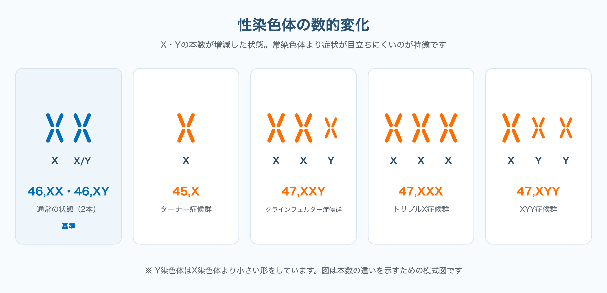 45,Xのターナー症候群、47,XXYのクラインフェルター症候群、47,XXX、47,XYYなど性染色体の数的変化を示した図