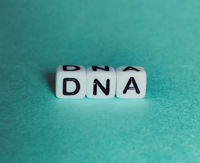 DNA